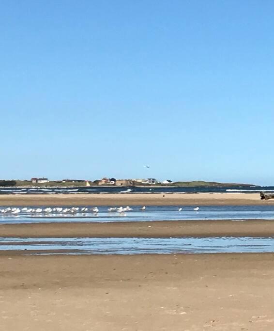 Rockview Beadnell - Perfect Family Retreat Villa Luaran gambar